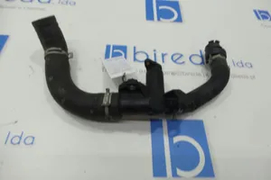 Citroen Berlingo Durite de refroidissement tube 