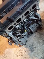 Ford Focus ST Silnik / Komplet FS170AA