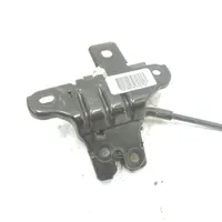 Ford Mustang VI Tailgate/trunk/boot lock/catch/latch FR3B6343282BA