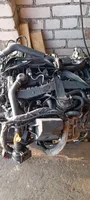 Mercedes-Benz Sprinter W906 Silnik / Komplet 651955