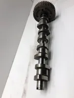 Volkswagen PASSAT B6 Camshaft 038109111E