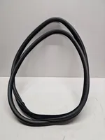 BMW X6 F16 Front door rubber seal 7317811