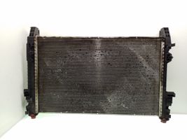 Mercedes-Benz B W245 Coolant radiator A1695002103