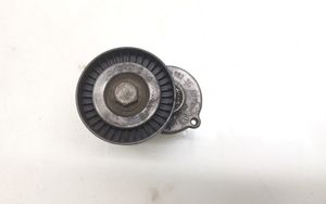 Volkswagen Golf VI Tendicinghia generatore/alternatore 038903315