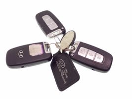 Hyundai ix35 Ignition key/card 