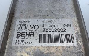 Volvo V40 Cross country Радиатор масла двигателя 31319313