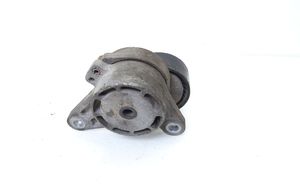 Volkswagen Tiguan Napinacz paska wielorowkowego / Alternatora 04L903315A