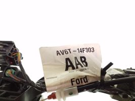 Ford C-MAX II Maniglia esterna per portiera posteriore AV6T14F303AAB