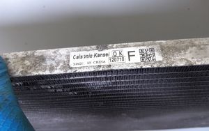 Nissan Leaf I (ZE0) A/C cooling radiator (condenser) 120710F