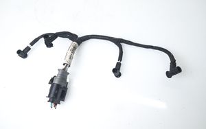 Citroen C-Crosser Cavi iniettore di carburante 9661631680