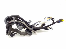 Nissan Qashqai Cablaggio porta anteriore 24125JD06D