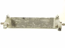 Nissan Qashqai Intercooler radiator 14461JD50B