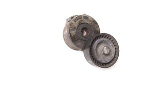 Ford Kuga I Napinacz paska alternatora 9671609180