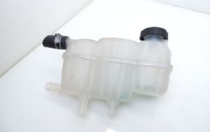Hyundai Ioniq Serbatoio di compensazione del liquido refrigerante/vaschetta 25430G7500