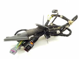 Chevrolet Cruze Front door wiring loom 95196241