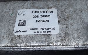 Mercedes-Benz EQC Gaisa kondicioniera sausinātājs A0998301100