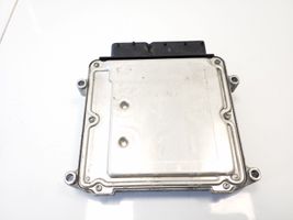 Hyundai i20 (GB IB) Sterownik / Moduł ECU 391252B026