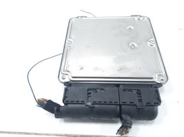 Volkswagen Transporter - Caravelle T5 Komputer / Sterownik ECU silnika 038906016