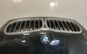 BMW X5 E70 Vano motore/cofano 6917364
