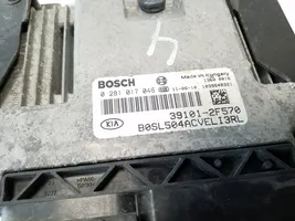 KIA Sportage Sterownik / Moduł ECU 391012F570