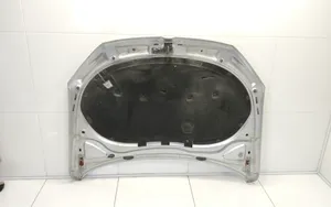 Volkswagen PASSAT B7 Engine bonnet/hood 