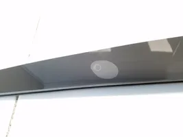 Tesla Model 3 Fotocamera parafango laterale 106910400D