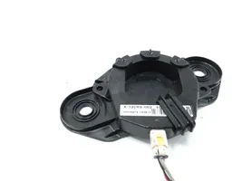 Tesla Model S Radion pystyantenni X12069002