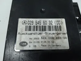 Mercedes-Benz E W211 Sterownik / Moduł elektrycznej klapy tylnej / bagażnika 0295456032