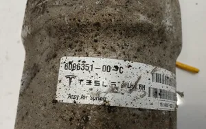 Tesla Model S Amortisseur avant 600635100C