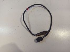 Ford Connect Lambda probe sensor F1F19Y48