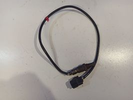 Ford Connect Sonde lambda F1F19Y48