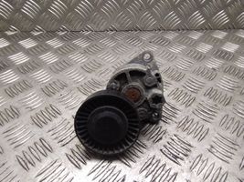 Hyundai Terracan Tendicinghia generatore/alternatore 