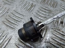 Nissan X-Trail T31 Xenon bulb 