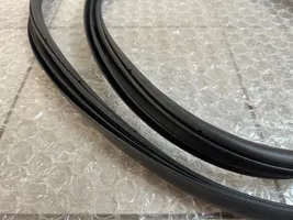 Volkswagen Amarok II Rear door rubber seal (on body) 