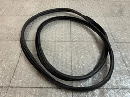 Volkswagen Amarok II Rear door rubber seal (on body) 