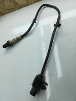 Volvo S60 Sensore della sonda Lambda 0281004564