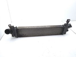 Renault Kangoo I Chłodnica powietrza doładowującego / Intercooler 8200322941B