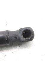 Hyundai i40 Ammortizzatore portellone anteriore/cofano 811613Z00