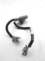 Peugeot 508 Fuel injector wires 