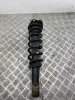 Toyota Corolla Verso E121 Rear shock absorber with coil spring 485300F020