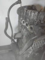 Volkswagen Polo IV 9N3 Moteur AMF