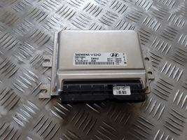 Hyundai Tucson JM Calculateur moteur ECU 5WY1963C