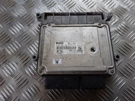 KIA Ceed Sterownik / Moduł ECU 0261201202