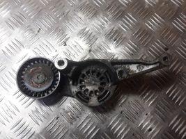 Volkswagen Caddy Napinacz paska alternatora 03G9033150