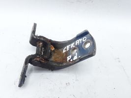 KIA Cerato Front door lower hinge 