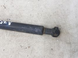 BMW 3 E46 Tailgate/trunk strut/damper 51248254281