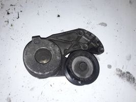 Volkswagen Touareg I Napinacz paska wielorowkowego / Alternatora 022145299E