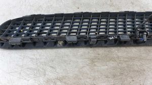 BMW X5 E53 Grille calandre de capot 51137124822