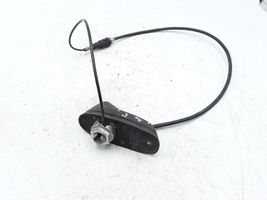 Citroen C3 Picasso Radion antenni 966615438001