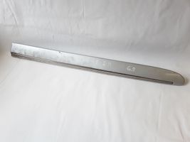 Mercedes-Benz E W211 Rivestimento portiera posteriore (modanatura) 